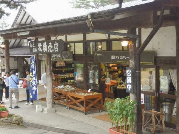 入場無料！家族で遊べる那須高原 南ヶ丘牧場【栃木】