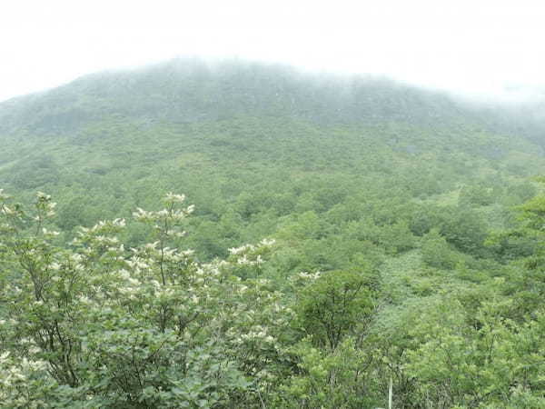 【栃木】那須塩原で温泉・滝・景勝地めぐり！1.jpg