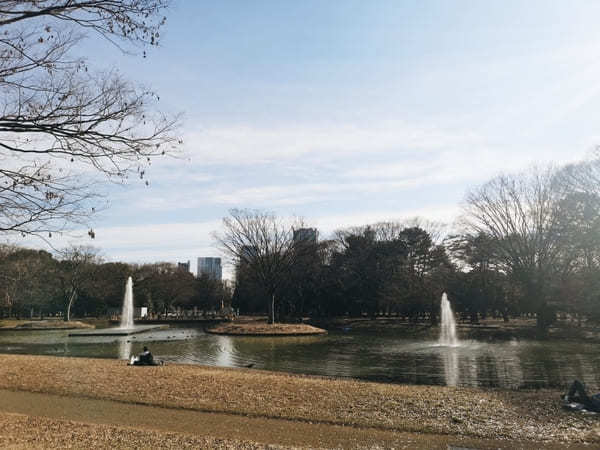 【東京】週末はアウトドアを楽しもう！子連れにおすすめの大型公園10選