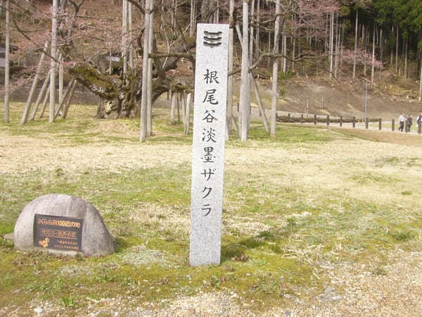 岐阜県美濃エリアでほっと温まる❗観光と合わせ楽しめる日帰り温泉❗