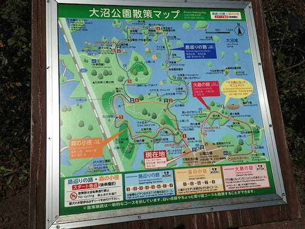 【北海道・七飯町】大沼国定公園の散策・湖上クルーズと仔牛の哺乳体験