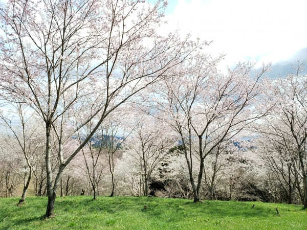 岐阜県の山間にある町【八百津】のおすすめスポット