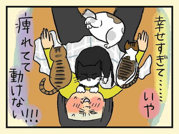 ＜猫漫画1＞かなしばり?!と思ったら…猫好きにはたまらん“うはうは状態”だった