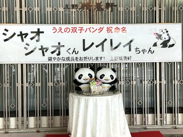 2022年1月双子パンダ公開！抽選と観覧方法【上野動物公園】