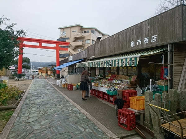 【和歌山】境内にあふれかえる人形で有名な淡嶋神社は実は見どころ満載のパワースポット！