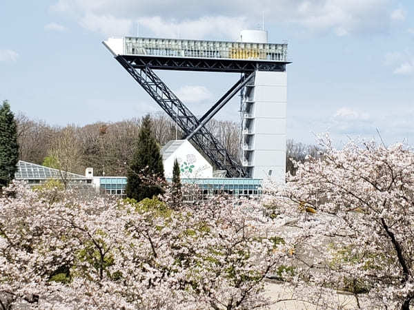 戦国武将ゆかりの地【岐阜県可児市】で歴史と花のスポット巡り！