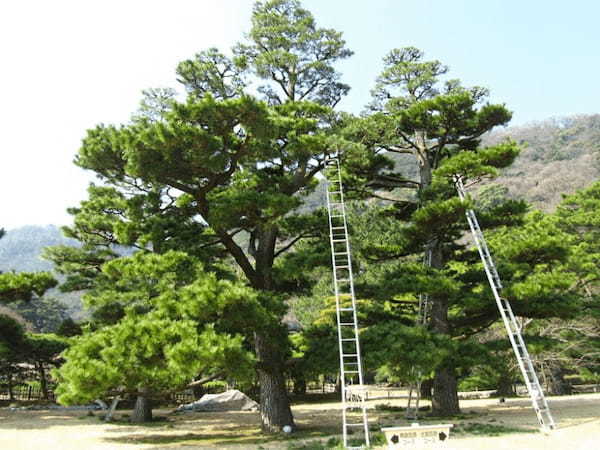 【香川】ミシュラン最高評価！世界が認めた庭園「栗林公園」を散策しよう！1.jpg