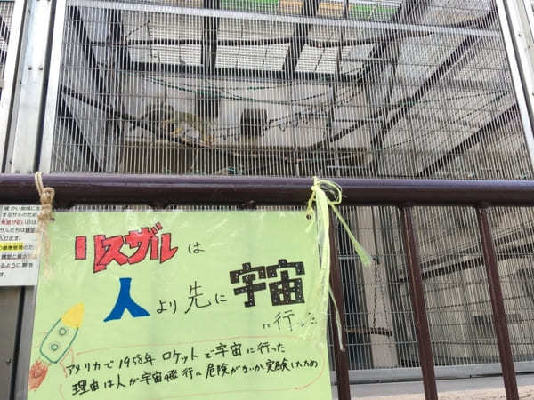 【豊田市】鞍ヶ池公園にある無料動物園のクセがすごい！デートにもファミリーにもおすすめ