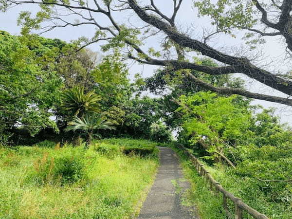 【逗子】大崎公園の魅力を地元ライターが写真付きで紹介～のどかな自然が魅力～1.jpg