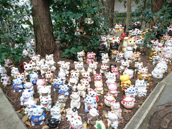 【和歌山】境内にあふれかえる人形で有名な淡嶋神社は実は見どころ満載のパワースポット！