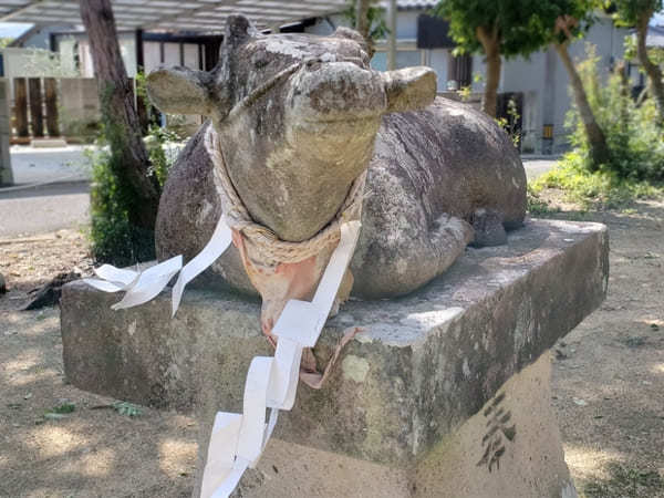 四国の合格祈願ならここ！縁結びもできる【香川】滝宮天満宮