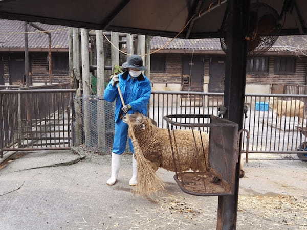 【愛媛】とべ動物園と四国最大級ジップラインで家族皆でマルっと楽しもう！1.jpg