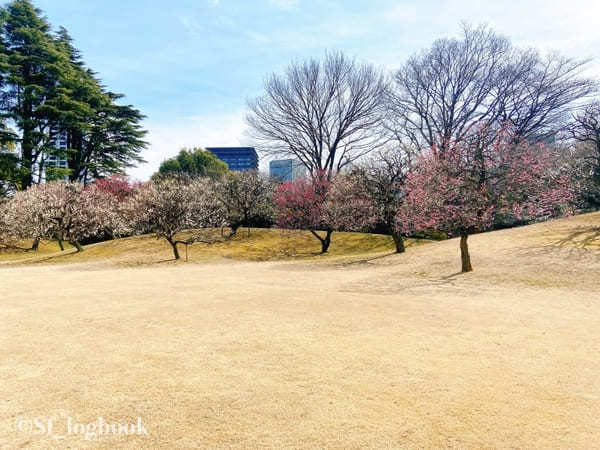 【東京・赤坂】豪華絢爛！おもてなしの館、赤坂迎賓館