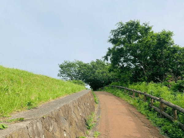 【逗子】大崎公園の魅力を地元ライターが写真付きで紹介～のどかな自然が魅力～1.jpg