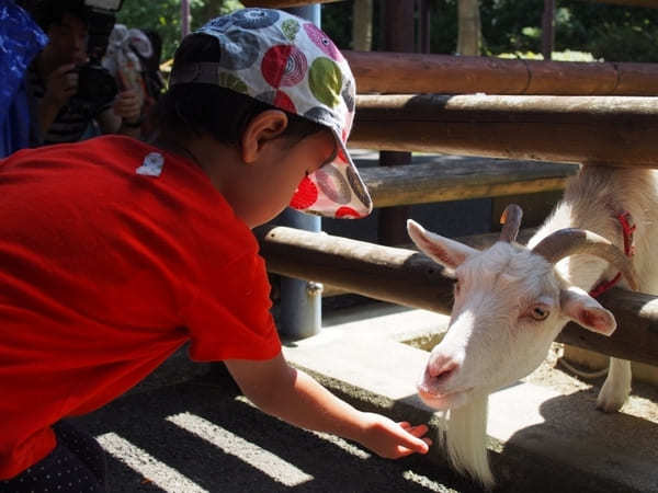 子どもと行きたい横浜のおすすめ公園22選！大型遊具・ロング滑り台など設備充実の公園特集