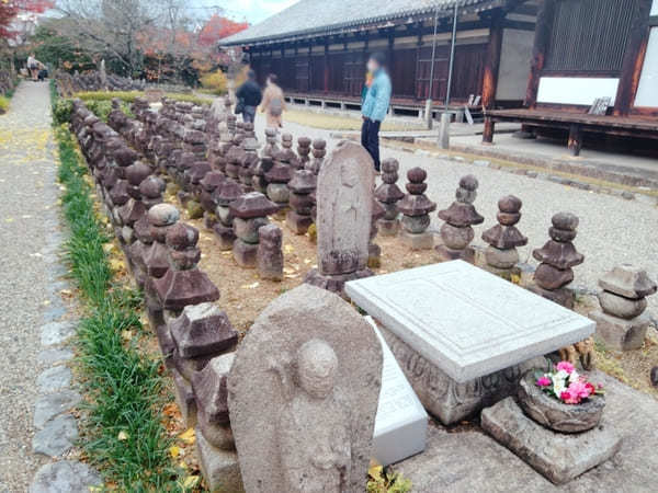 【奈良】ならまちで歴史さんぽも食べ歩きグルメも楽しもう！