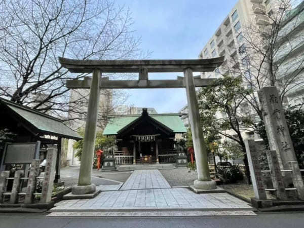 早春の都内で一番美しい神社？ミモザと早咲き桜が彩る蔵前神社へ【台東区】