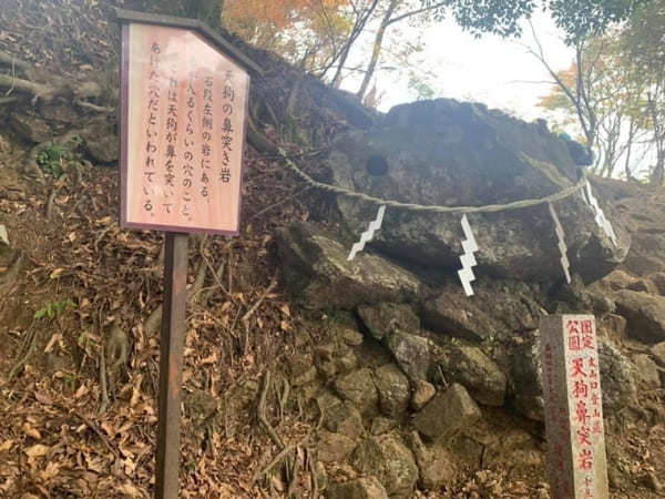 都内からの日帰り登山にも！ケーブルカー無しで楽しむ大山登山のベストコース【神奈川】