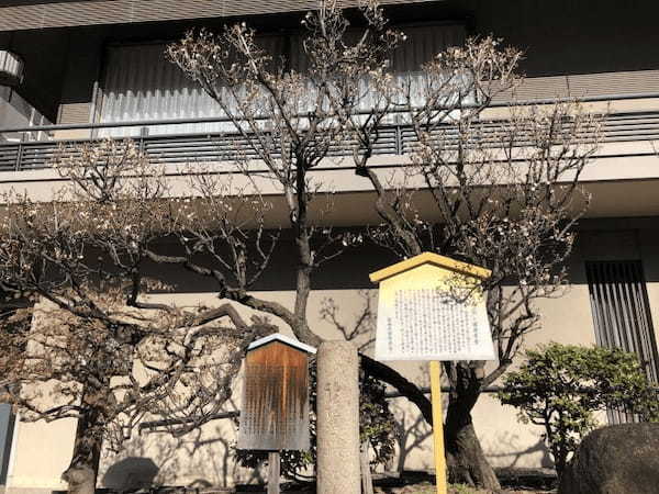 【生田神社】境内の見どころ・巡り方完全ガイド（神戸）6.jpg