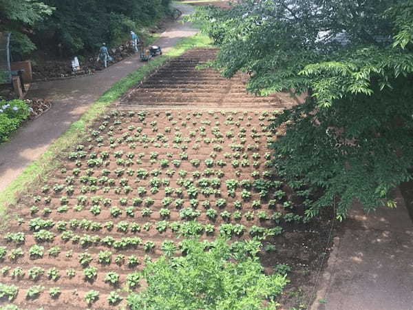 人気の理由を徹底紹介！ふなばしアンデルセン公園！01.jpeg