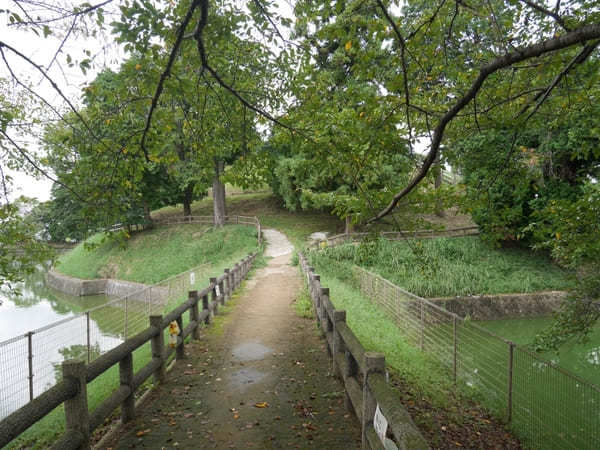 【奈良】紅葉が美しい長岳寺と周辺を散策！ランチのお店も紹介