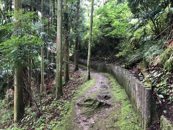 豊かな自然やご当地グルメも！栃木県佐野市の観光スポット8選！