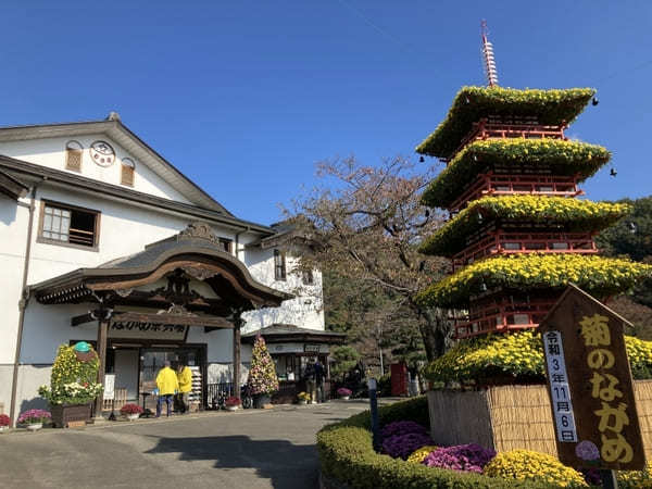 【群馬県】渓谷美と菊で有名な「ながめ公園」と周辺オススメ散策スポット