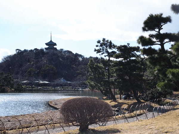 庭園に漂う梅のかほり【横浜・三渓園】の観梅会で春を感じよう1.jpg