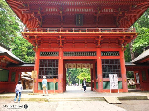 合格祈願から映えスポットまで！茨城の神社11選