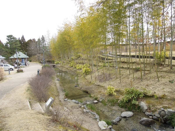 【京都】いちご狩りやお花見も！精華町・井手町で春を感じよう