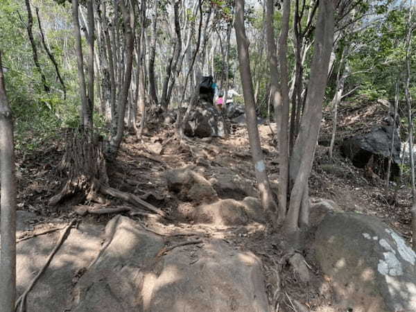 都内から日帰りOK！登山初心者にもオススメな絶景の宝篋山へ【茨城】1.jpg