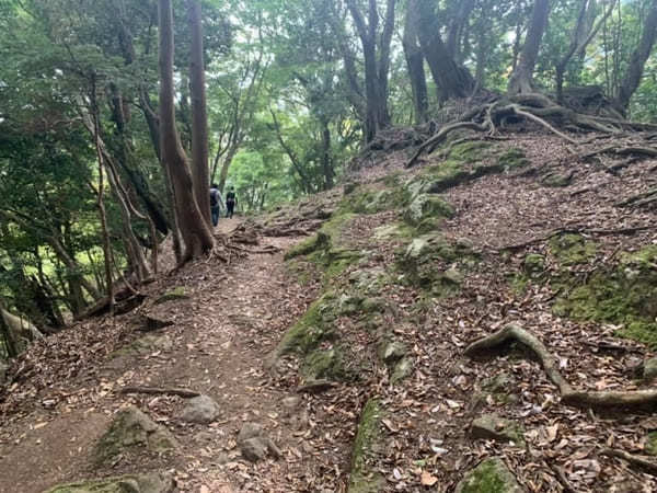 都内からの日帰り登山にも！ケーブルカー無しで楽しむ大山登山のベストコース【神奈川】