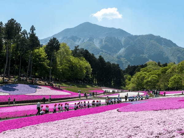 全国のおすすめ絶景47選！感動の景色に出会える観光スポット特集1.jpg