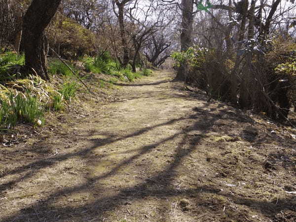 【群馬フラワーハイランド】冬からGWまでたくさんの花が楽しめる植物園1.jpg