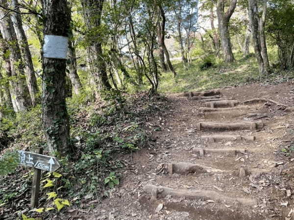 都内から日帰りOK！登山初心者にもオススメな絶景の宝篋山へ【茨城】1.jpg