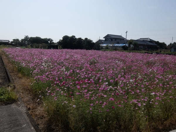 長期休暇がなくてもできる！「四国八十八か所」区切り歩き遍路のススメ！-基本＆準備編-