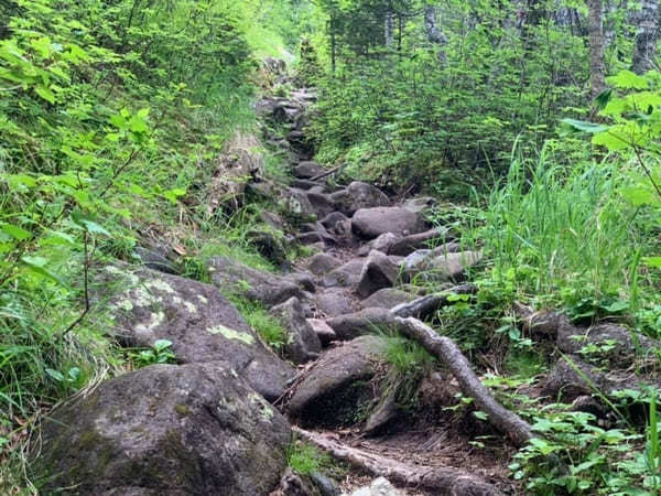 【北海道】然別湖の自然を大満喫！白雲山・天望山・東雲湖をぐるっと1周♪