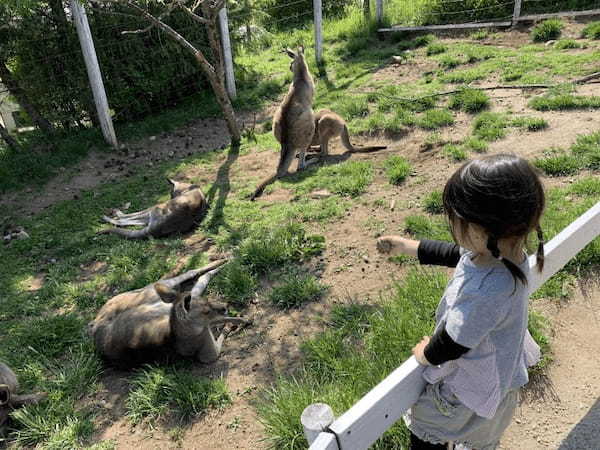 【那須】子どもと一緒に楽しむなら「那須どうぶつ王国」で決まり！1.jpg