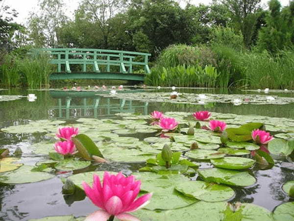 【写真映えスポットもいっぱい】四季折々の花が咲き誇る！浜名湖ガーデンパークを徹底レポート