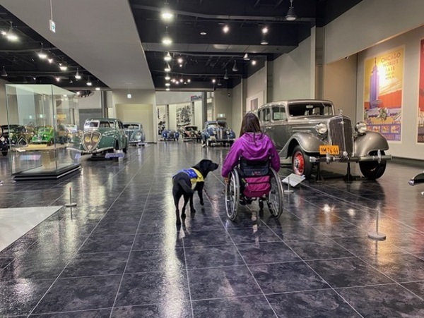 コロナ禍を経て約1年ぶりにトヨタ博物館での介助犬トレーニング実施！