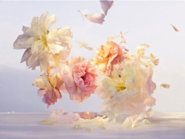 『ルイ·ヴィトン』花の彫刻ボトルの新フレグランス「レ・ゼクストレ コレクション」が誕生