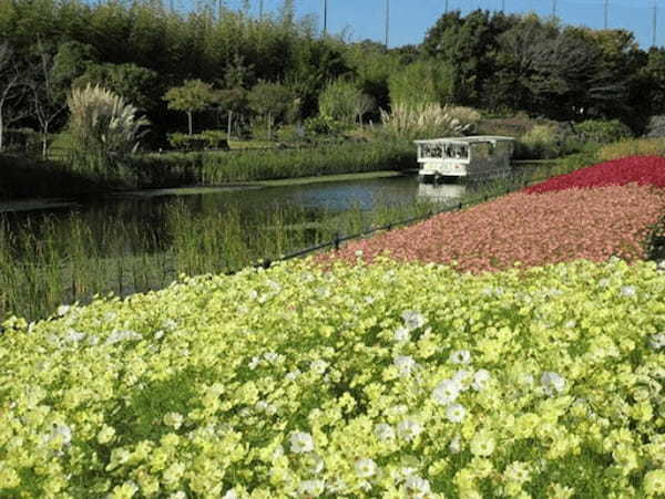 【写真映えスポットもいっぱい】四季折々の花が咲き誇る！浜名湖ガーデンパークを徹底レポート