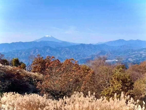 難易度順！東京のオススメ登山コース10選～低山から都内最高峰まで～