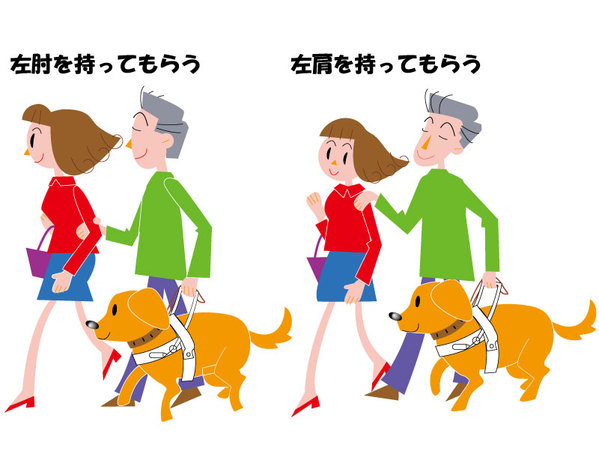 盲導犬について知ろう！