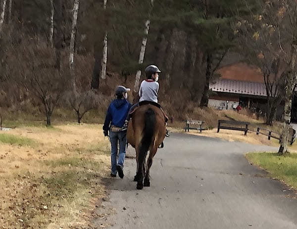 【木曽馬の里】愛らしい「木曽馬」に癒されよう（長野・開田高原）