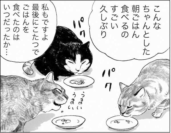 ＜猫漫画＞DVヒモ男と暮らすOL、野良猫3匹とホームレスのおじさんを迎え入れる／モンちゃんと私