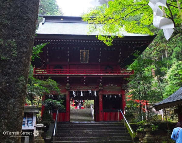 合格祈願から映えスポットまで！茨城の神社11選