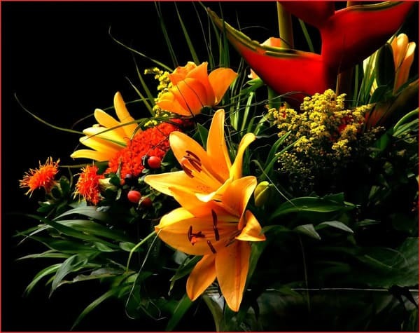 百合の花言葉は色や品種で違う！プレゼントで気を付けるポイントは？
