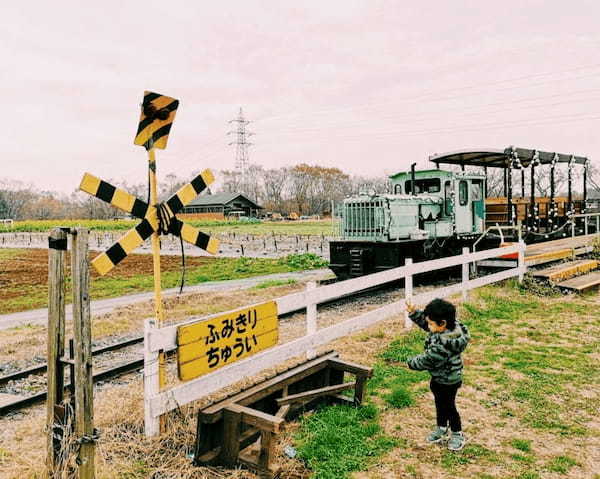 家族連れや犬連れにおすすめ！千葉県の【成田ゆめ牧場】で動物と遊ぼう1.jpg