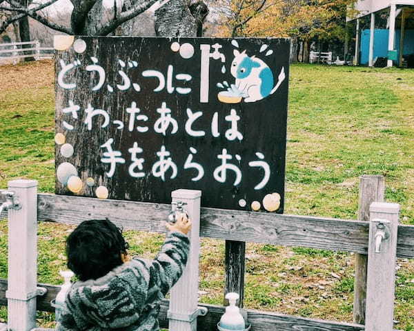 家族連れや犬連れにおすすめ！千葉県の【成田ゆめ牧場】で動物と遊ぼう1.jpg